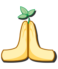 Аюрведическая консультация